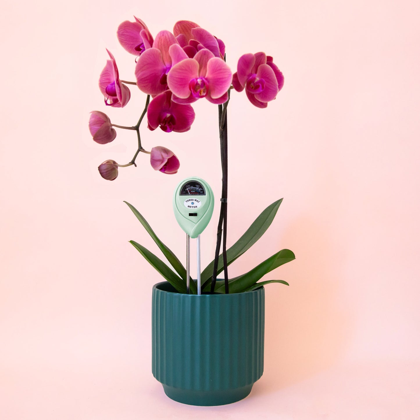 A turquoise blue moisture meter in a planter sold separately.
