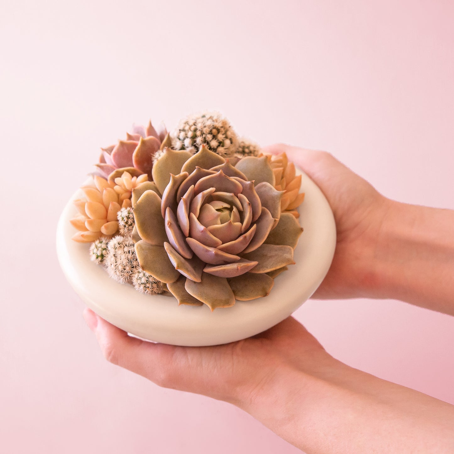 A rounded low pedestal bow in a vintage ivory shade. Plantings are just used for staging purposes and are sold separately.