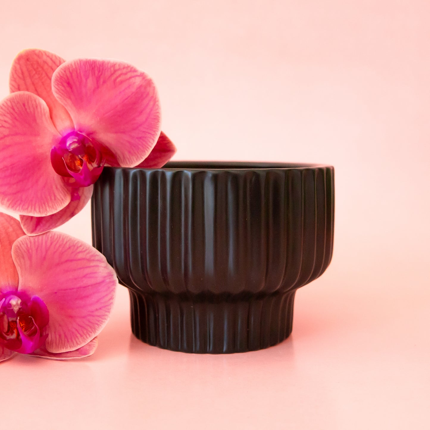 A ribbed black pedestal bowl planter.