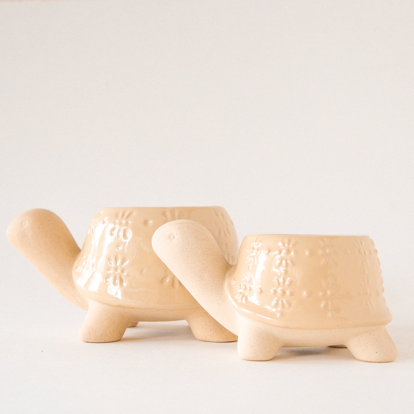 A set of ceramic turtle planters.