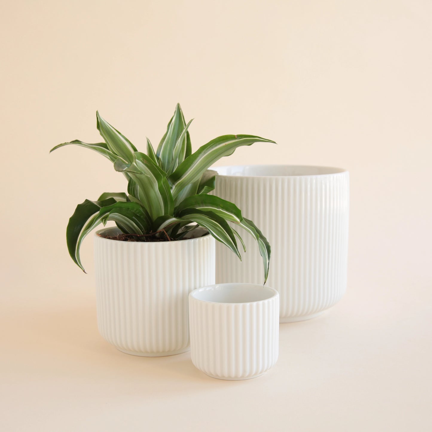 Lucy Planter | White