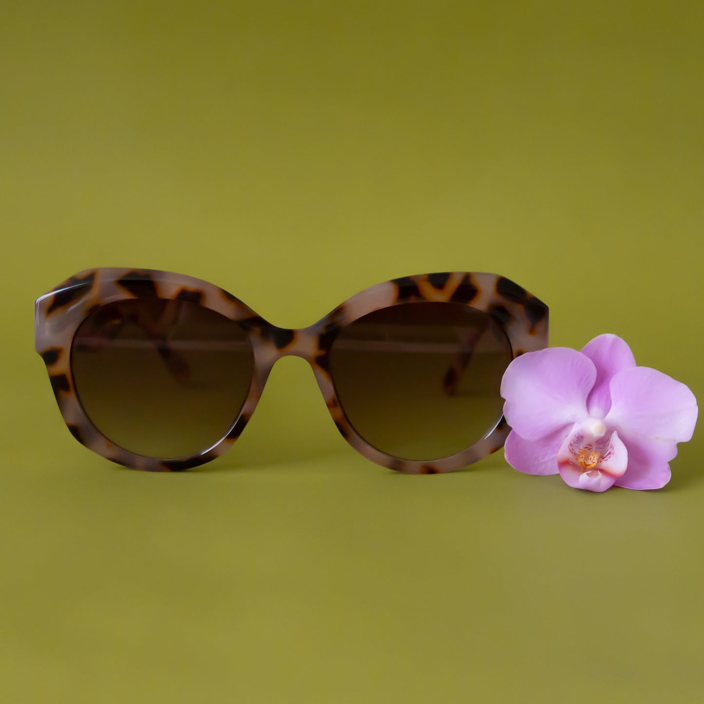 A brown and black pair of rounded oversized sunglasses.