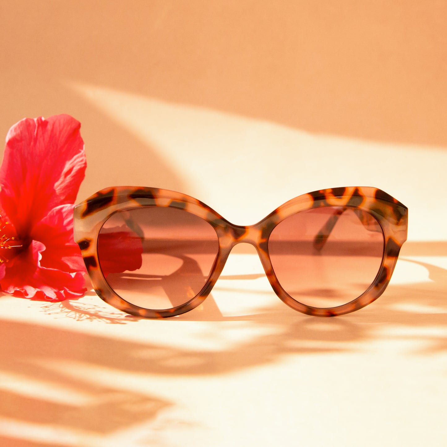 A brown and black pair of rounded oversized sunglasses.