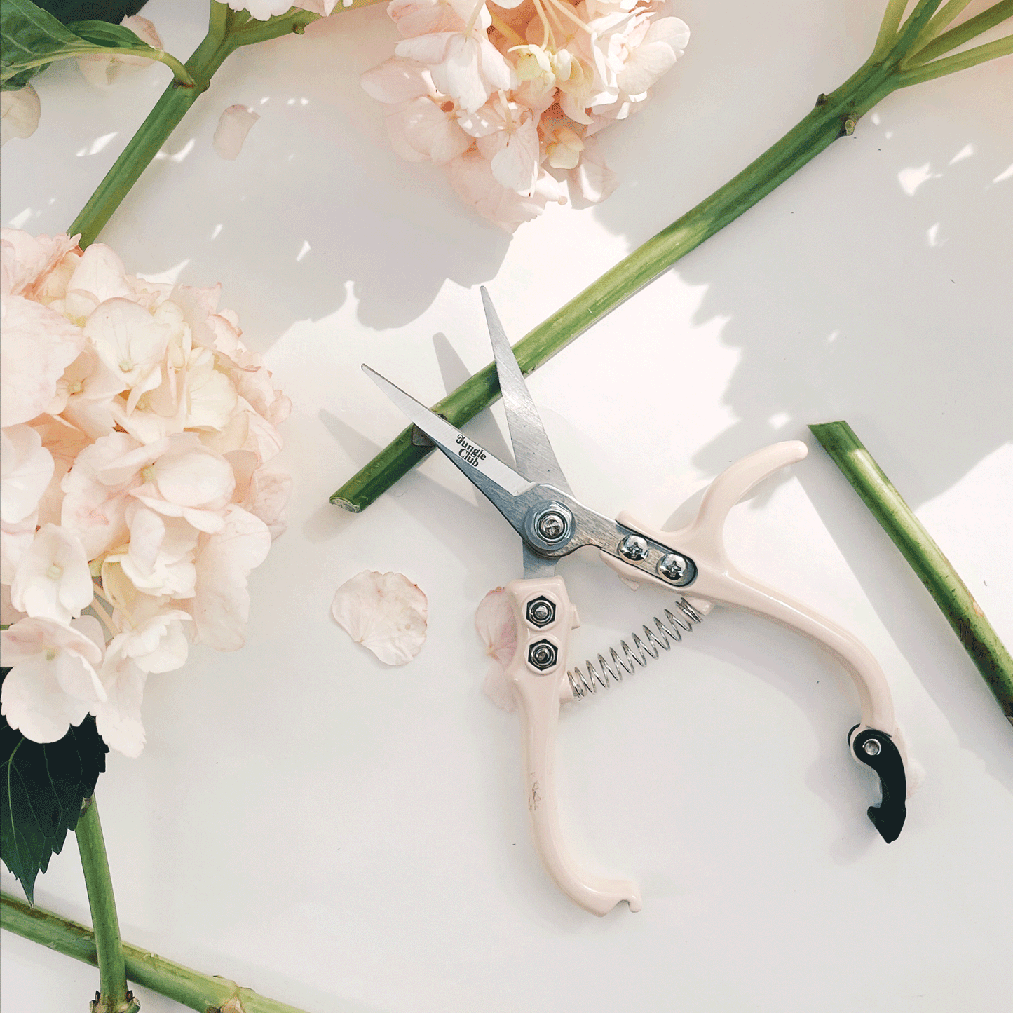 Pruning shears with a narrow tip, and light cream colored handle and a black clasp to connect when shears are not in use. There is small black text on the side of the shears that read, "Jungle Club".