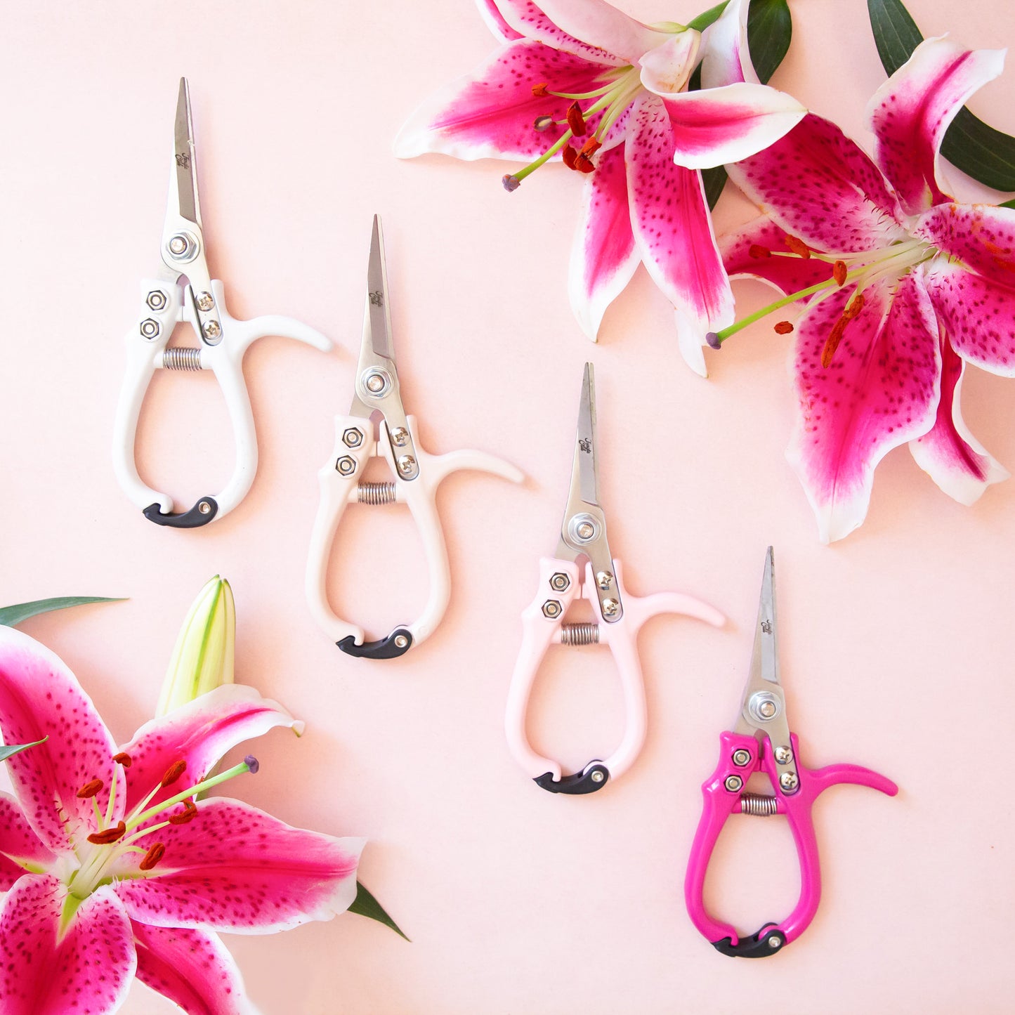 All four colors next to one another next to florals.