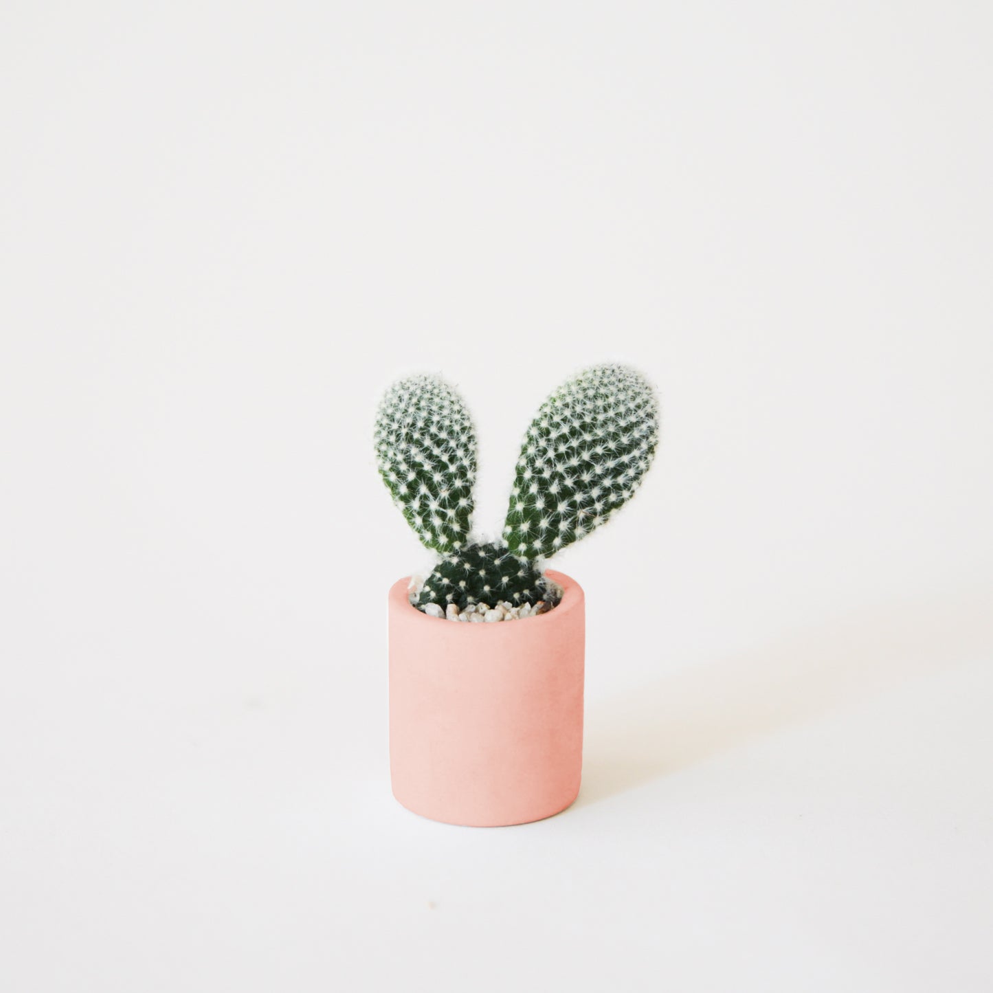 Tiny Planter | Peach