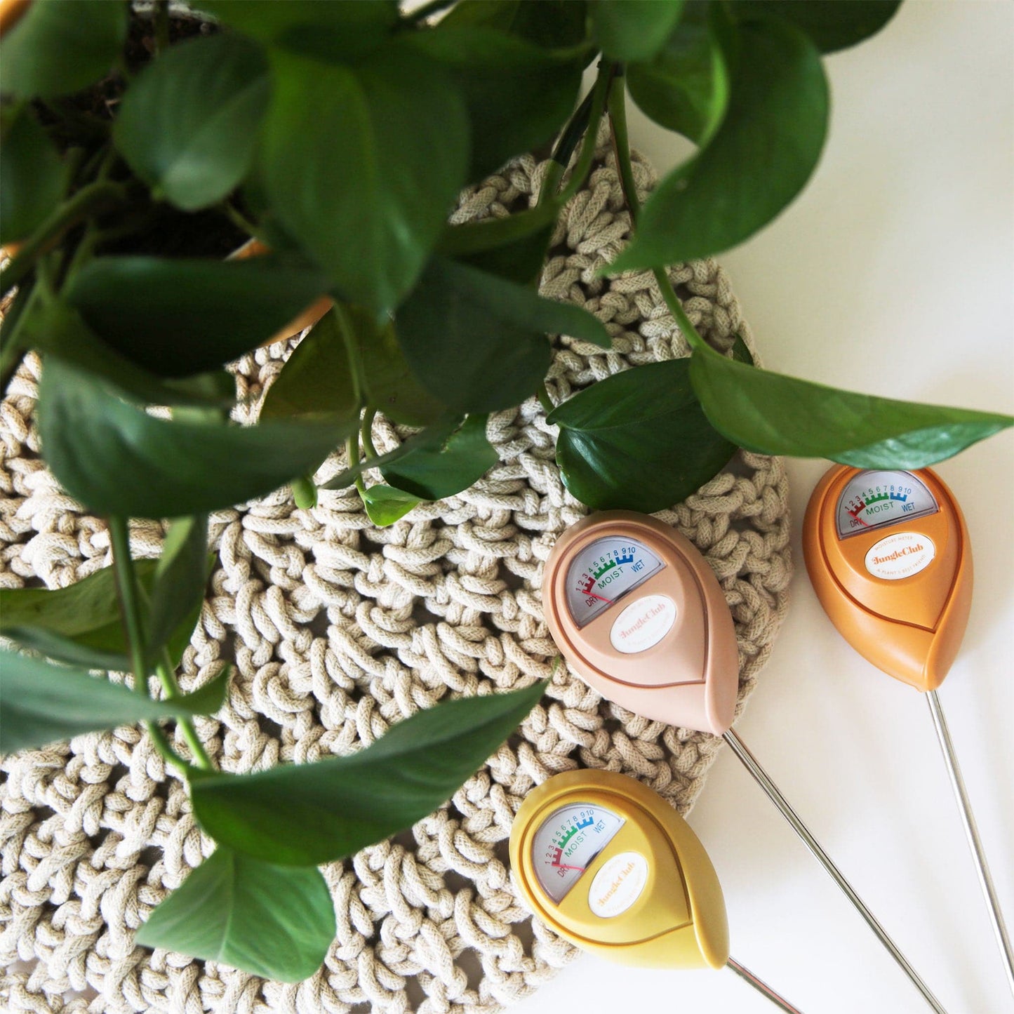 On a cream background staged with a woven place mat and a green pothos house plant, is three different colored moisture meters, one pink, one orange and one tropical green. They feature a long pointed metal bottom that sticks into the plant's soil and a meter at the top with a moisture gauge and a white oval in the center that reads, "Jungle Club".
