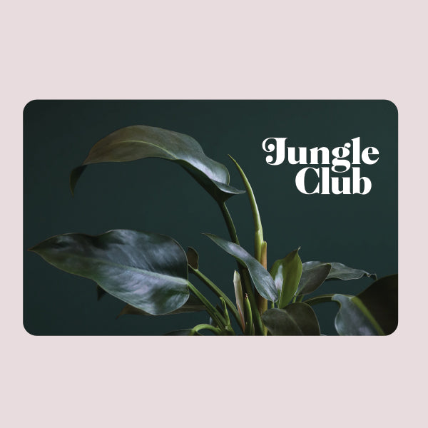 On a light pink background is a dark green gift card with a dark leafy house plant photo on the front along with white text in the top right corner that reads, "Jungle Club".