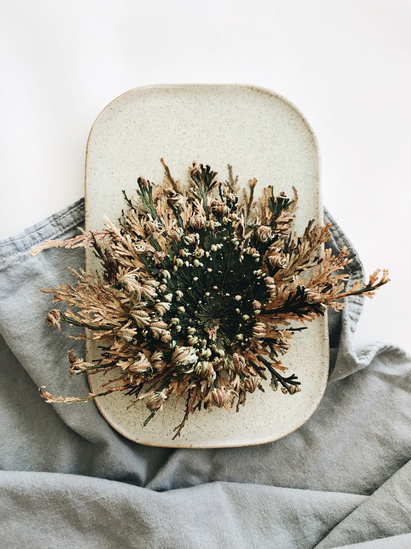 An expanded and opened Jericho Rose on a tray.