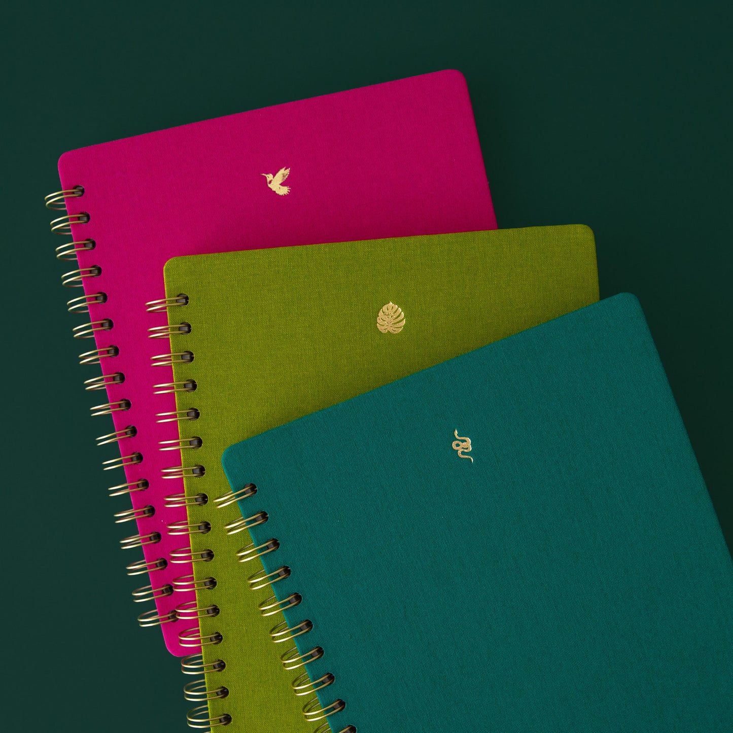 All three colors of the Jungle Club journals with gold foil detailing and a spiral binding. 