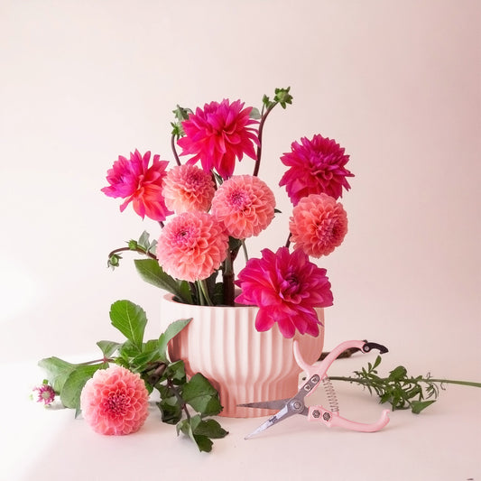 Presley Vase | Ballerina