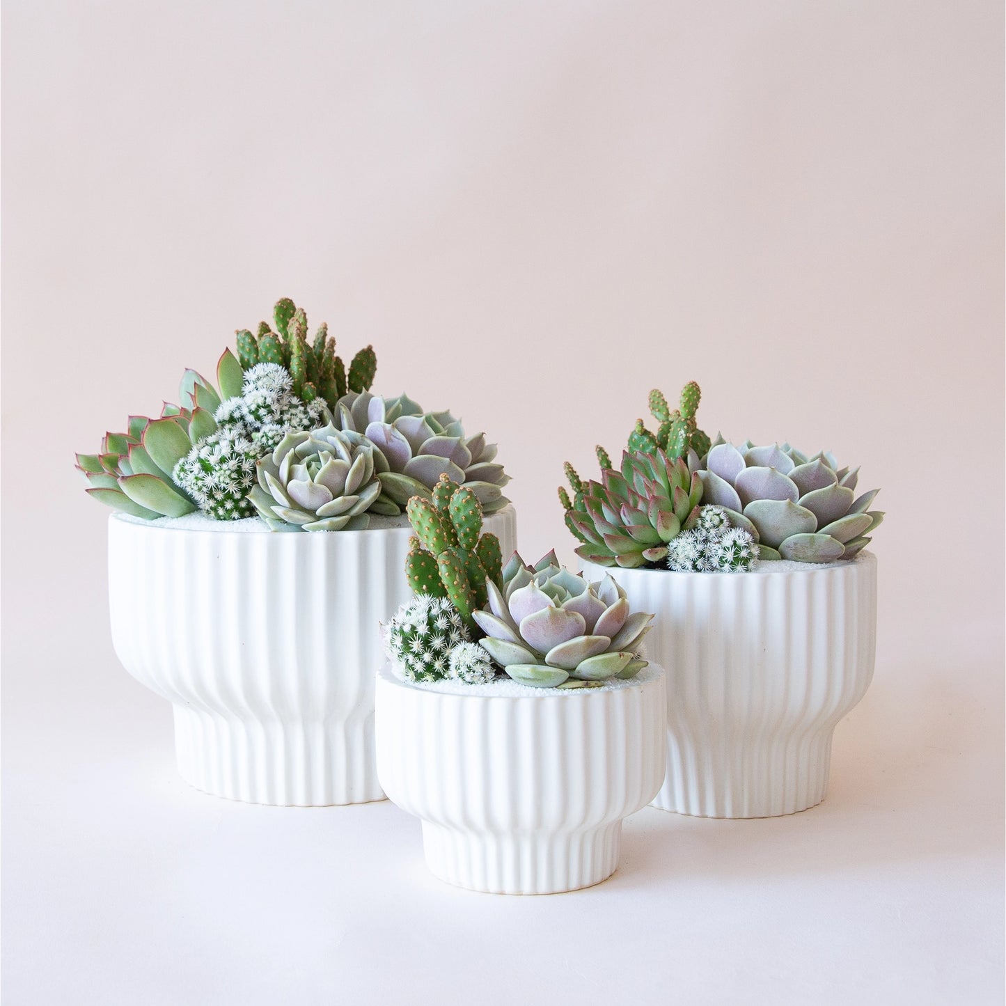 Three white ribbed pedestal planters in three different sizes.