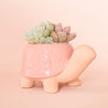  On a peachy background is a ceramic planter in the shape of a turtle with a light pink "shell" with a subtle floral print and filled in this photo with various succulents and cacti not included with purchase.