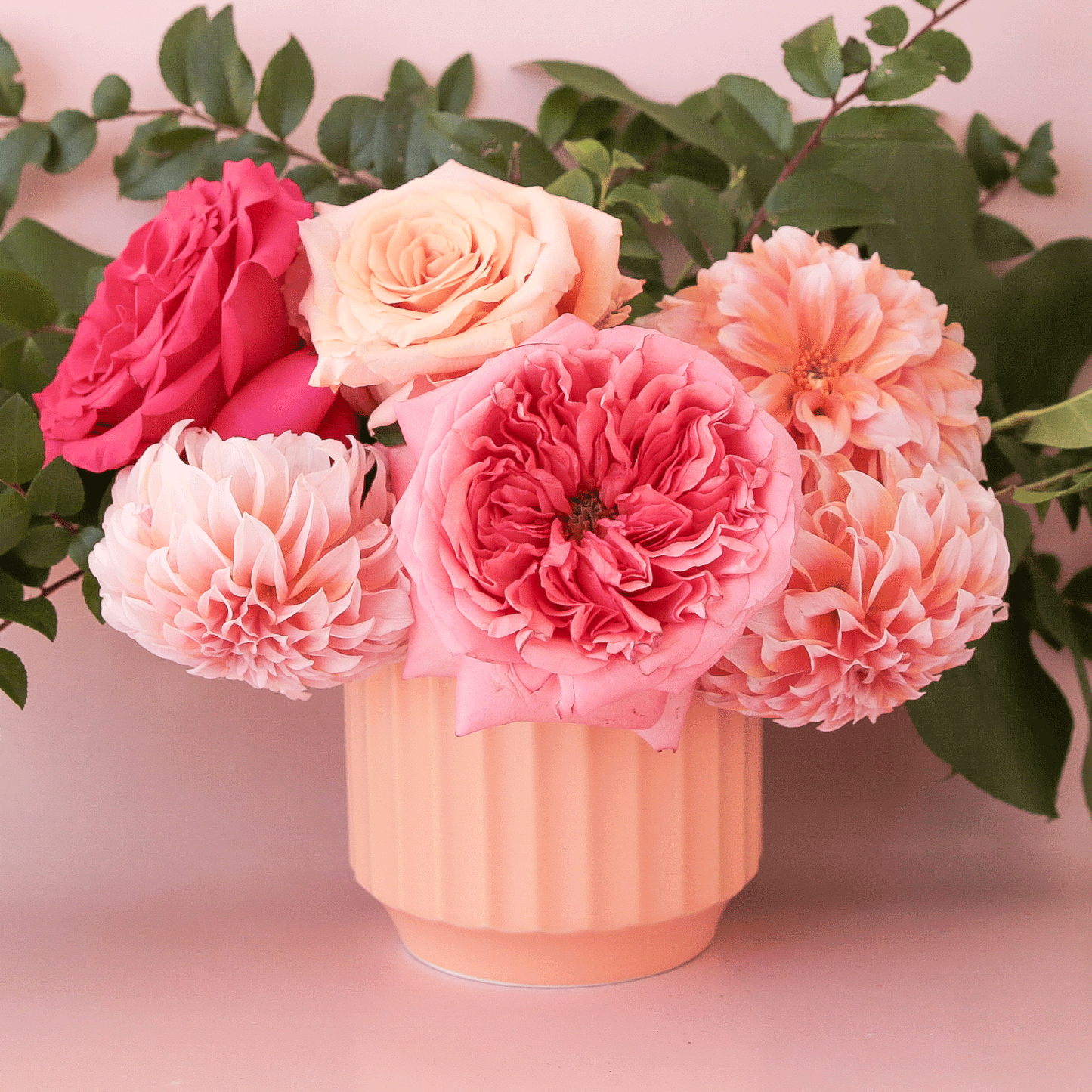 On a pink background is a pink and green flower arrangement inside of a pink fluted ceramic planter.