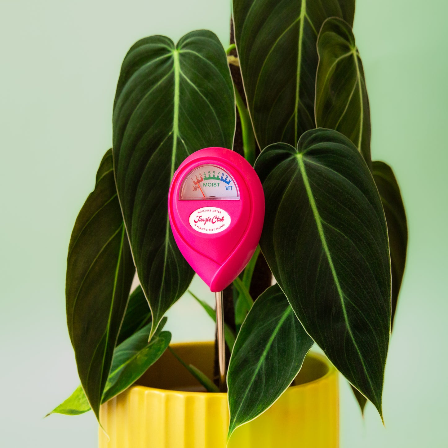 A hot pink moisture meter next to a hot pink box for packaging. 