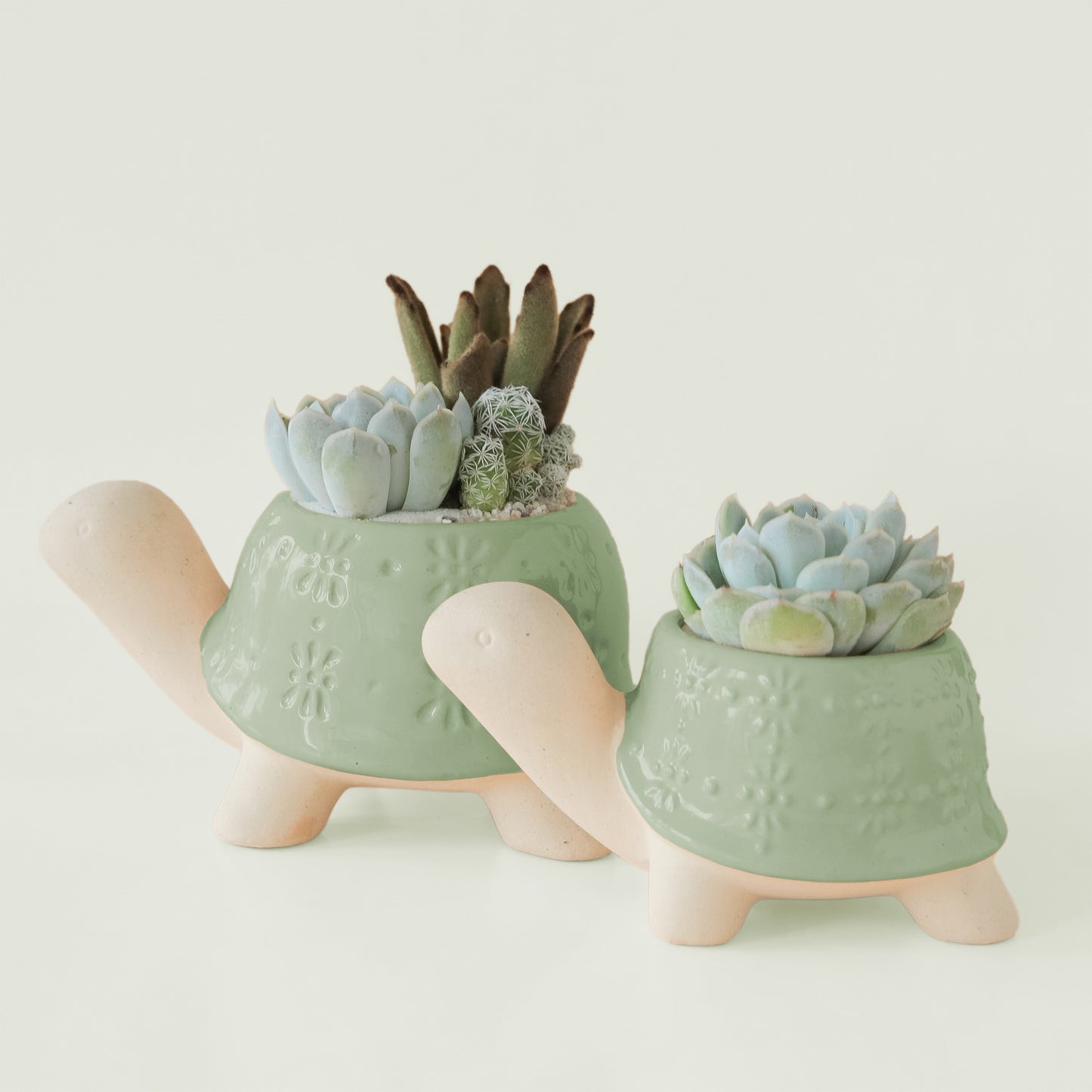 Two different sized green turtle shaped ceramic planters with plants inside that are sold separately.