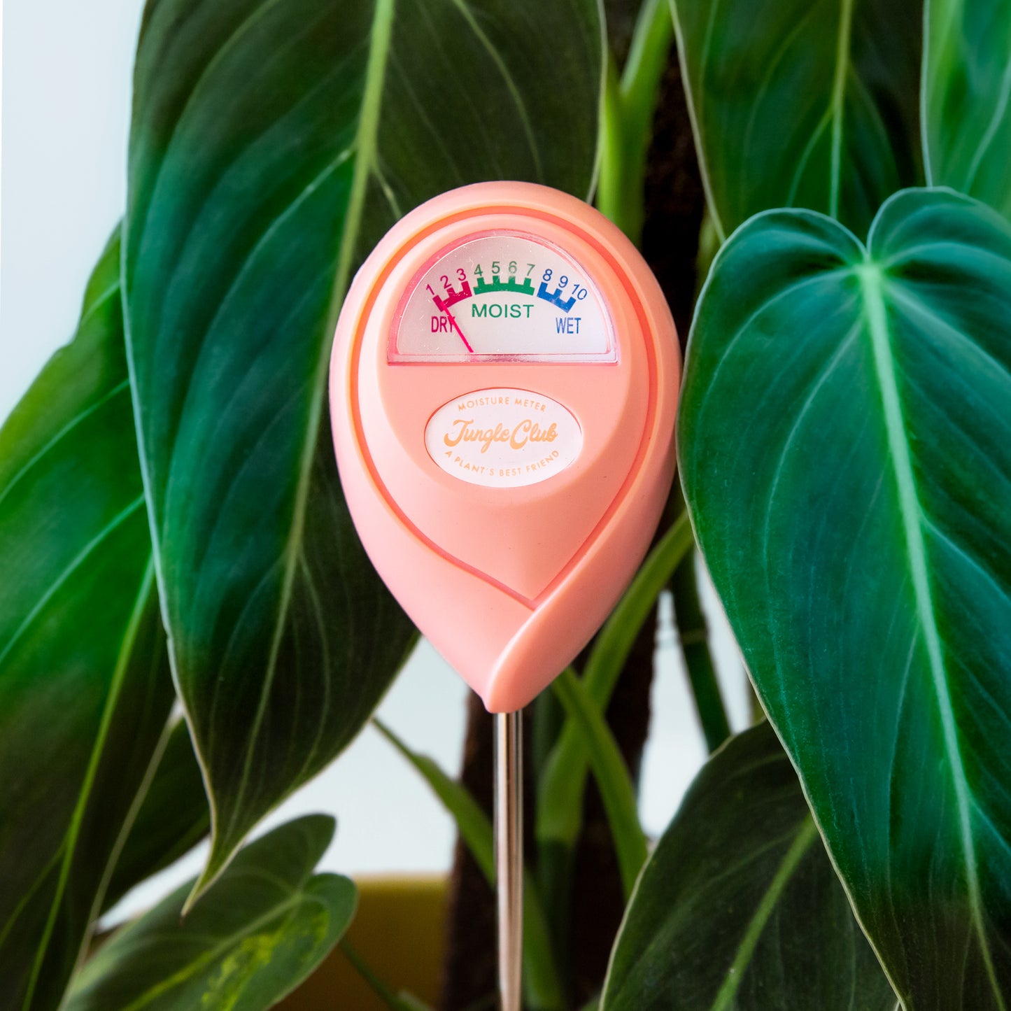 Moisture Meter | Grapefruit