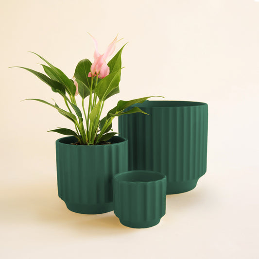 Three different sizes of green planters with a ribbed texture. The medium sized planter has a green leafy plant with pink flowers in it. 