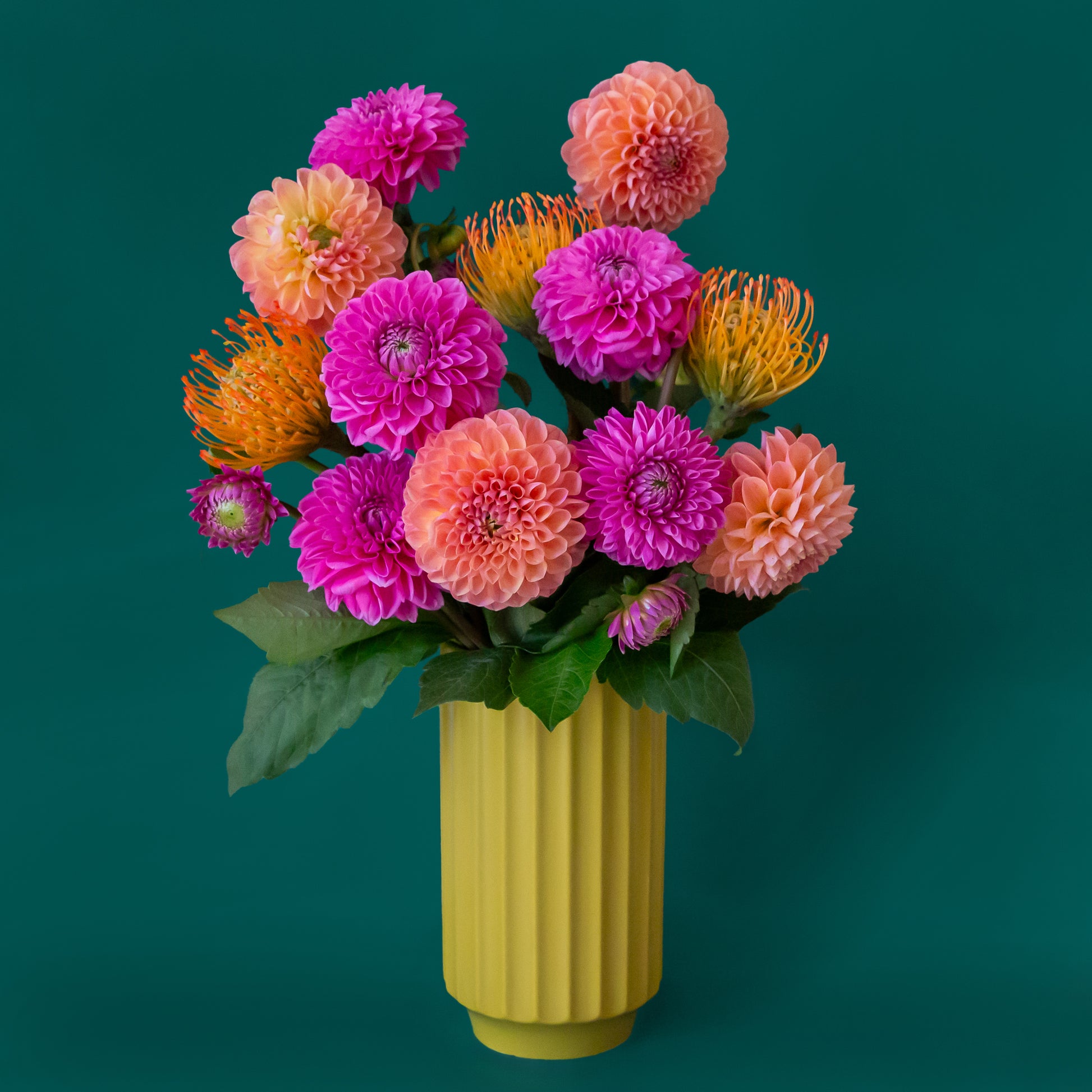 A beautiful chartreuse fluted cylindrical vase sits in middle of a page.  Inside the vase are beautiful Dahlia flowers- orange, pink and coral.  There are green leaves spilling out of the vase.  The flowers and vase are on a beautiful aquamarine colored background.