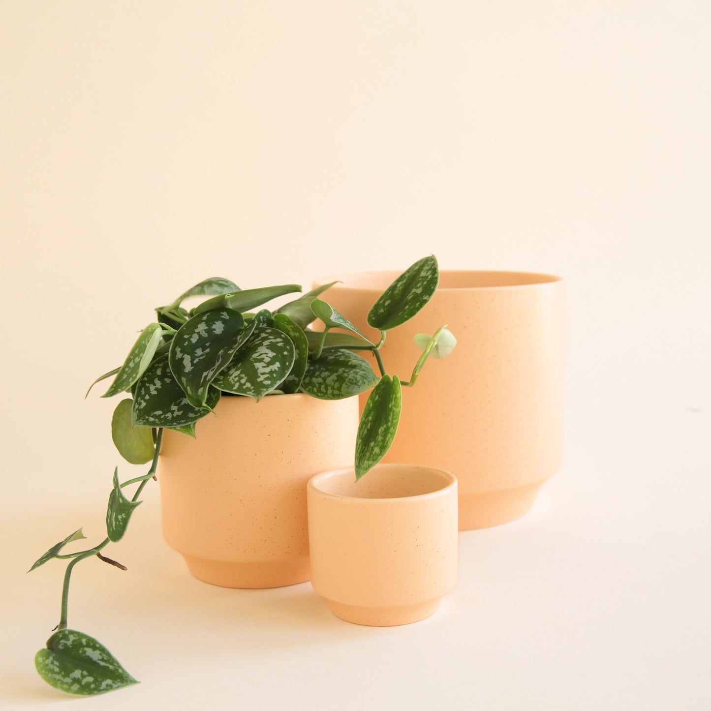 On an ivory background is three different sized ceramic planters in a salmon, pinkish orange shade with a speckle detail and a tapered base.
