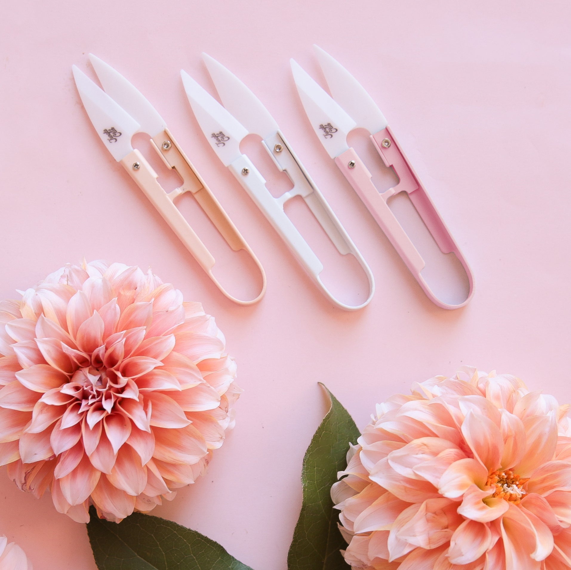 On a pink background is three different colored mini plant sheers in a peach shade, an ivory and pink.