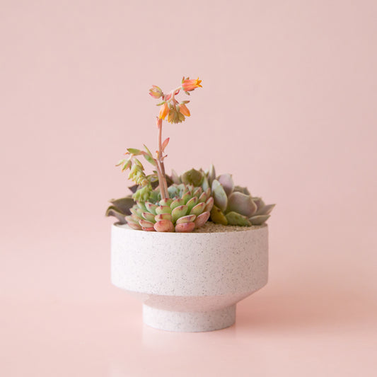 Speckle Footed Pot - White