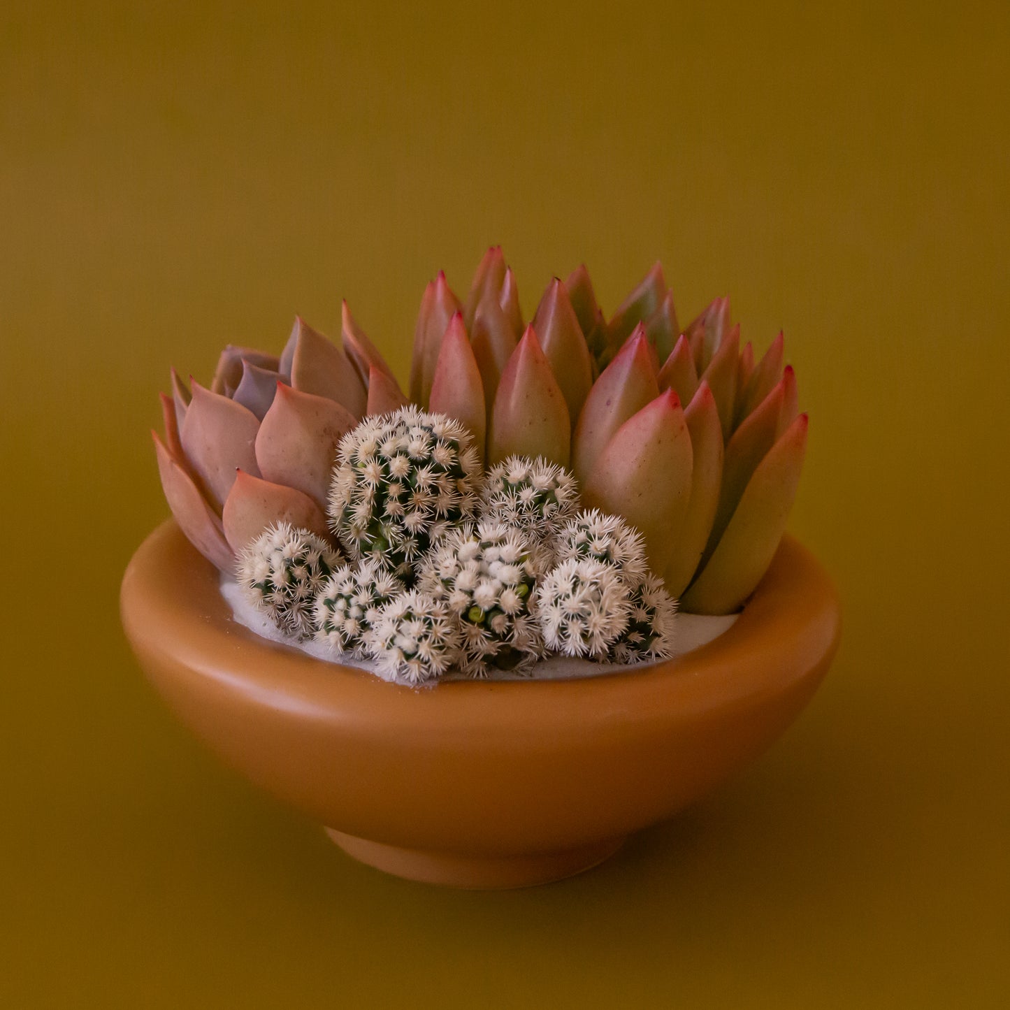 A ginger orange brown ceramic bowl planter. 