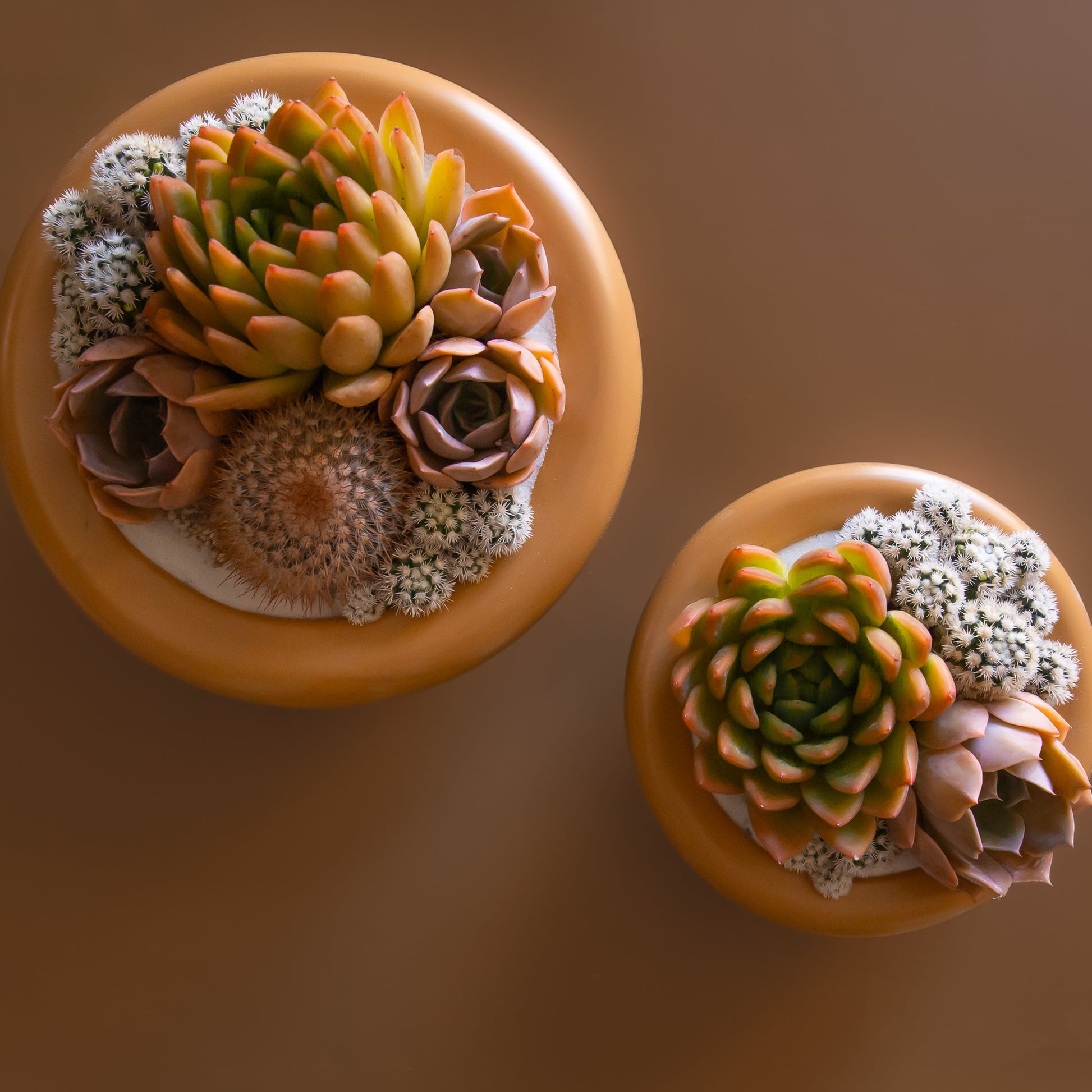 A ginger orange brown ceramic bowl planter. 