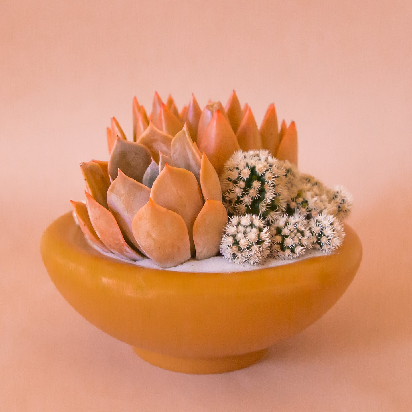 A ginger orange brown ceramic bowl planter. 