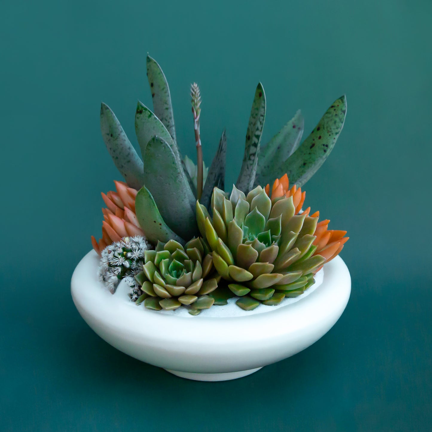 white footed low bowl