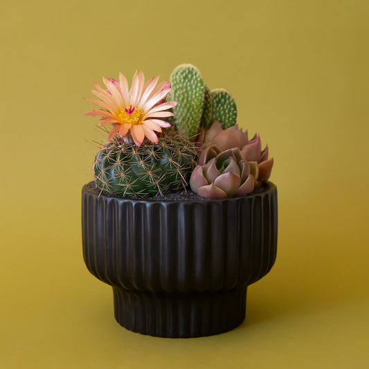A ribbed black pedestal bowl planter. 