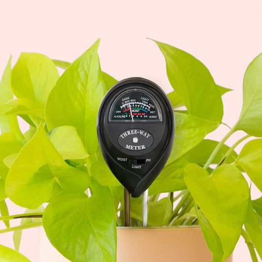 A black moisture meter inside of a plant to show hydration levels. 