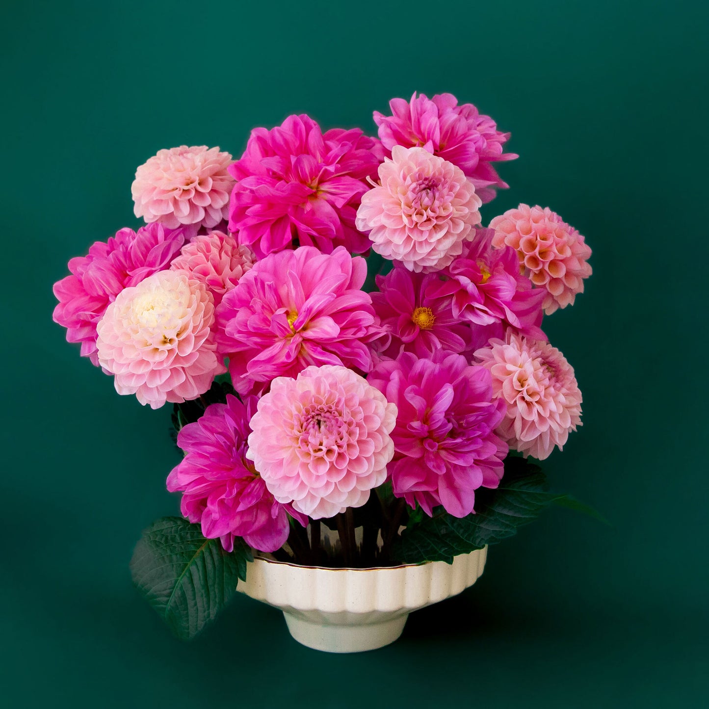 A scalloped ceramic pedestal bowl with a gold rim