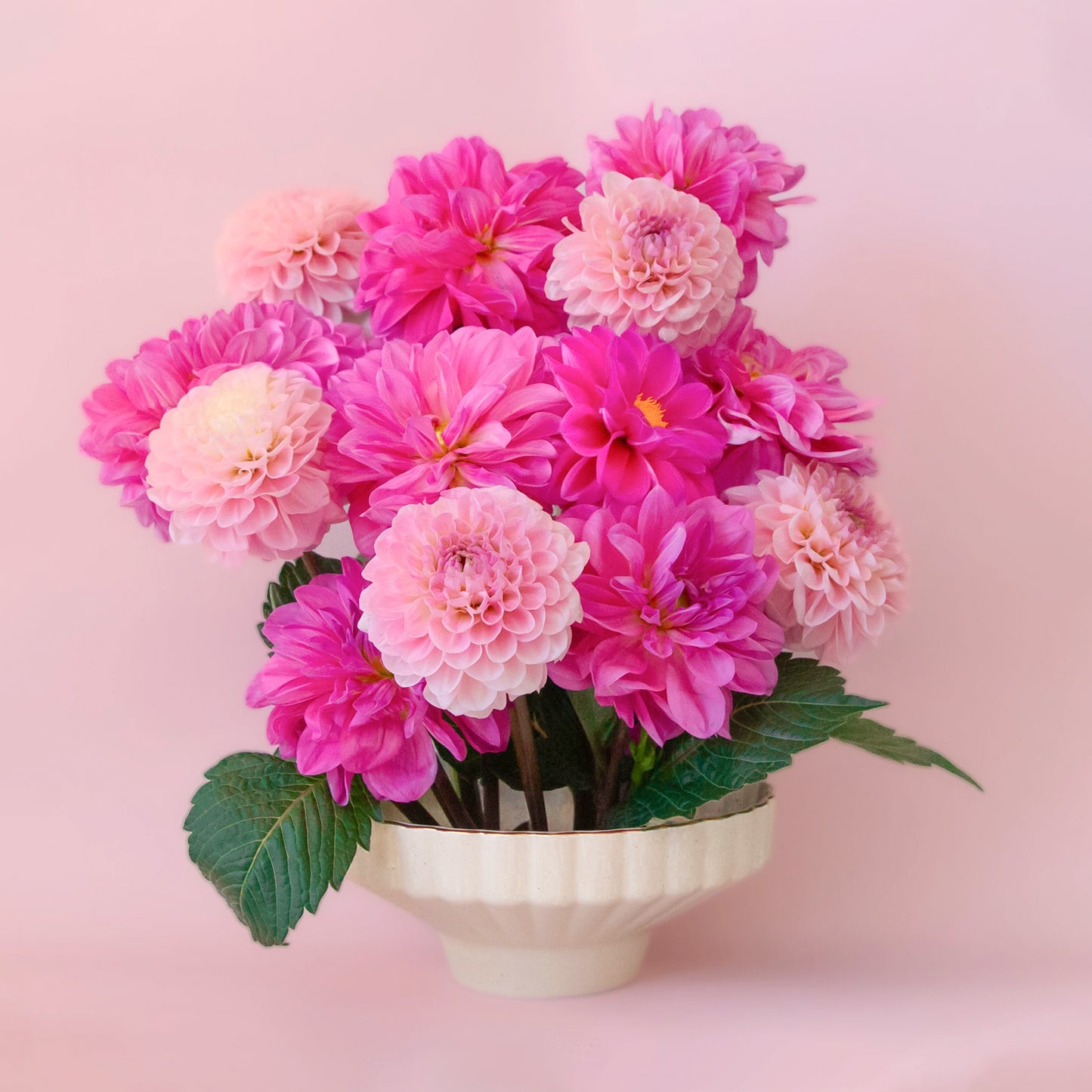 A scalloped ceramic pedestal bowl with a gold rim filled.