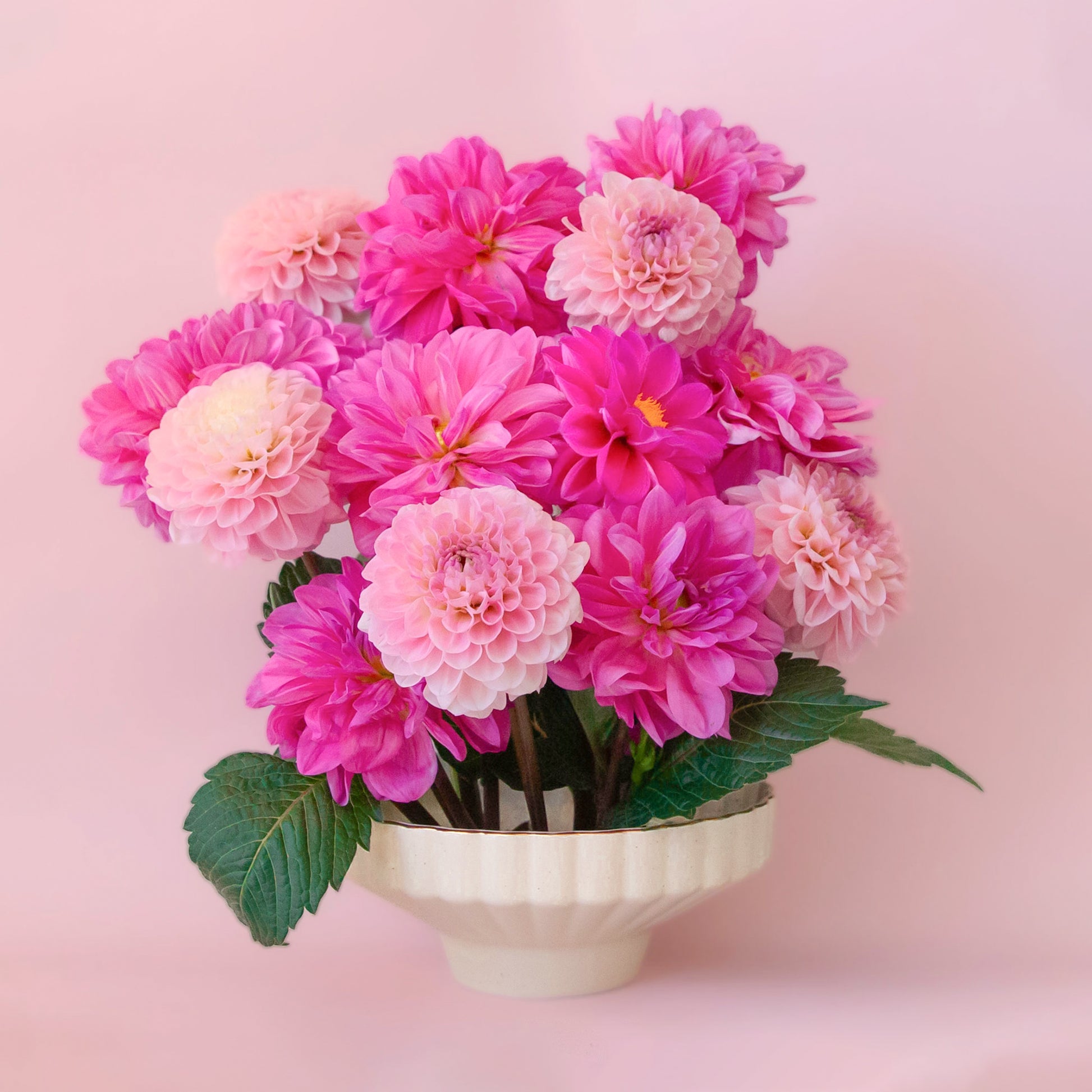 A scalloped ceramic pedestal bowl with a gold rim filled.