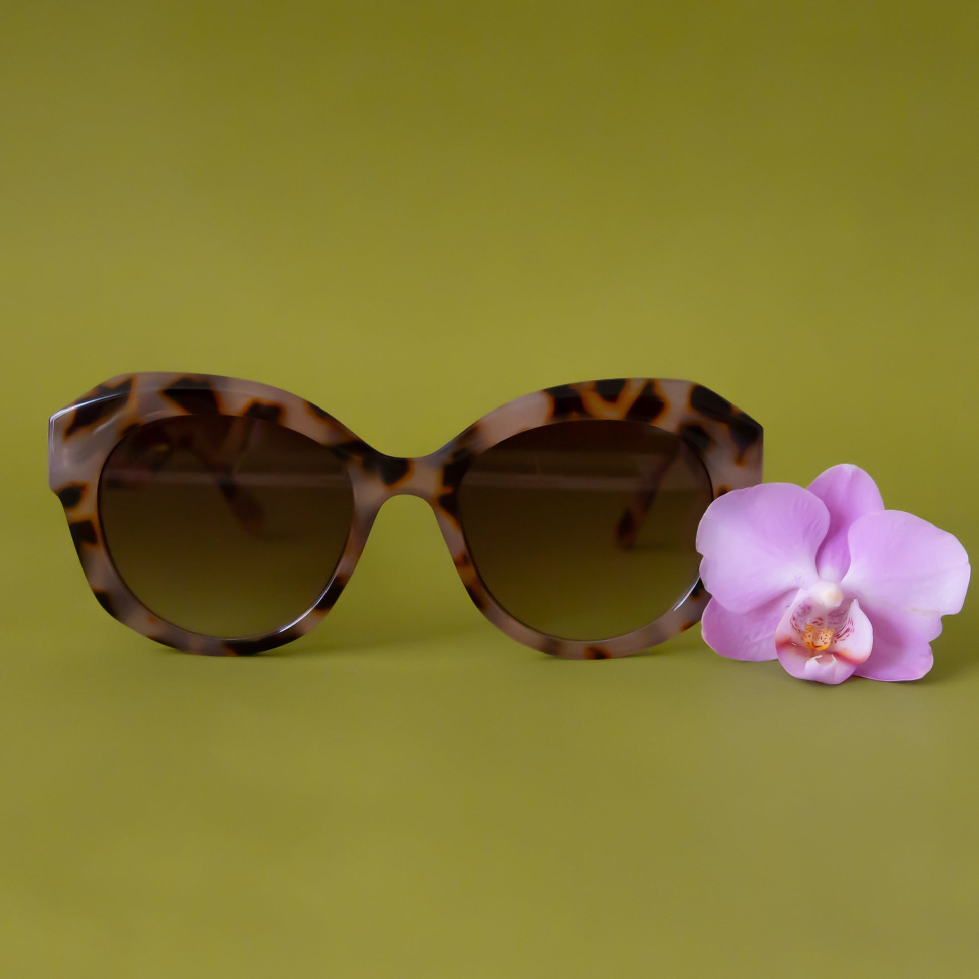 A brown and black pair of rounded oversized sunglasses. 