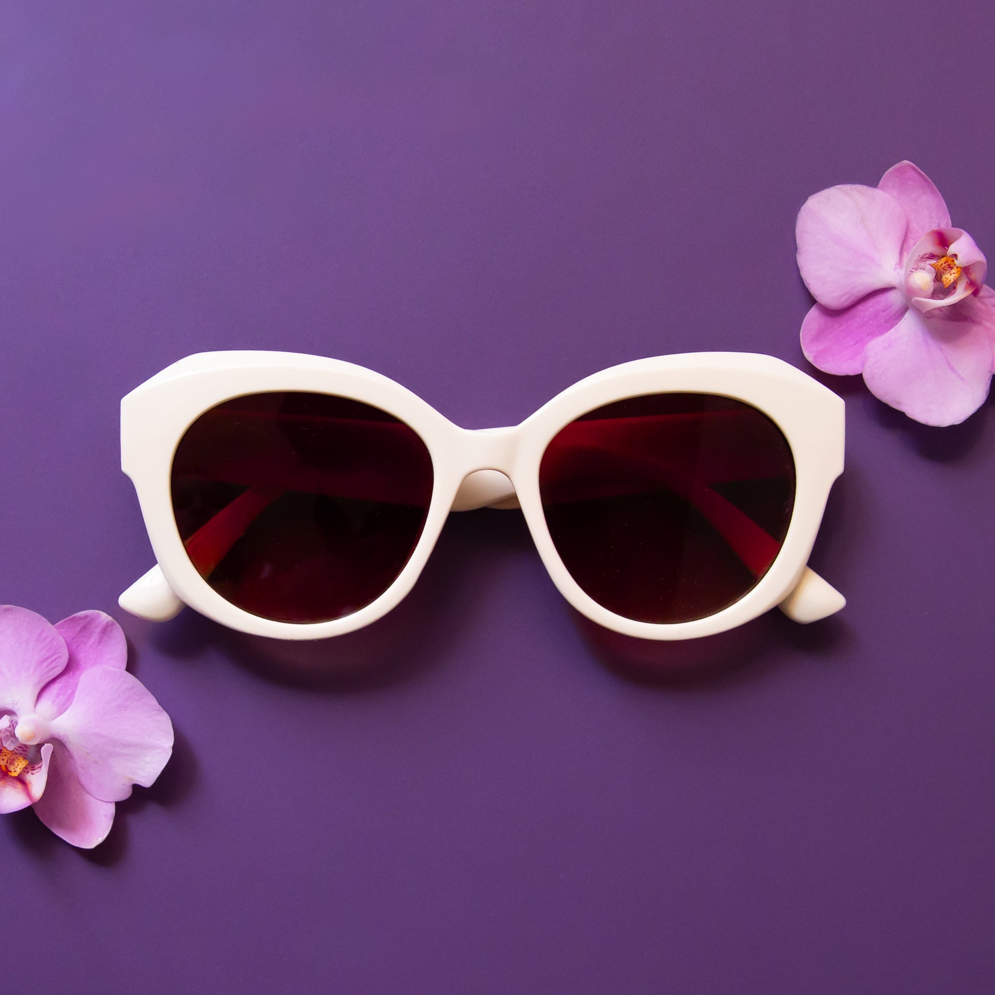 A white and brown lens pair of rounded sunglasses. 