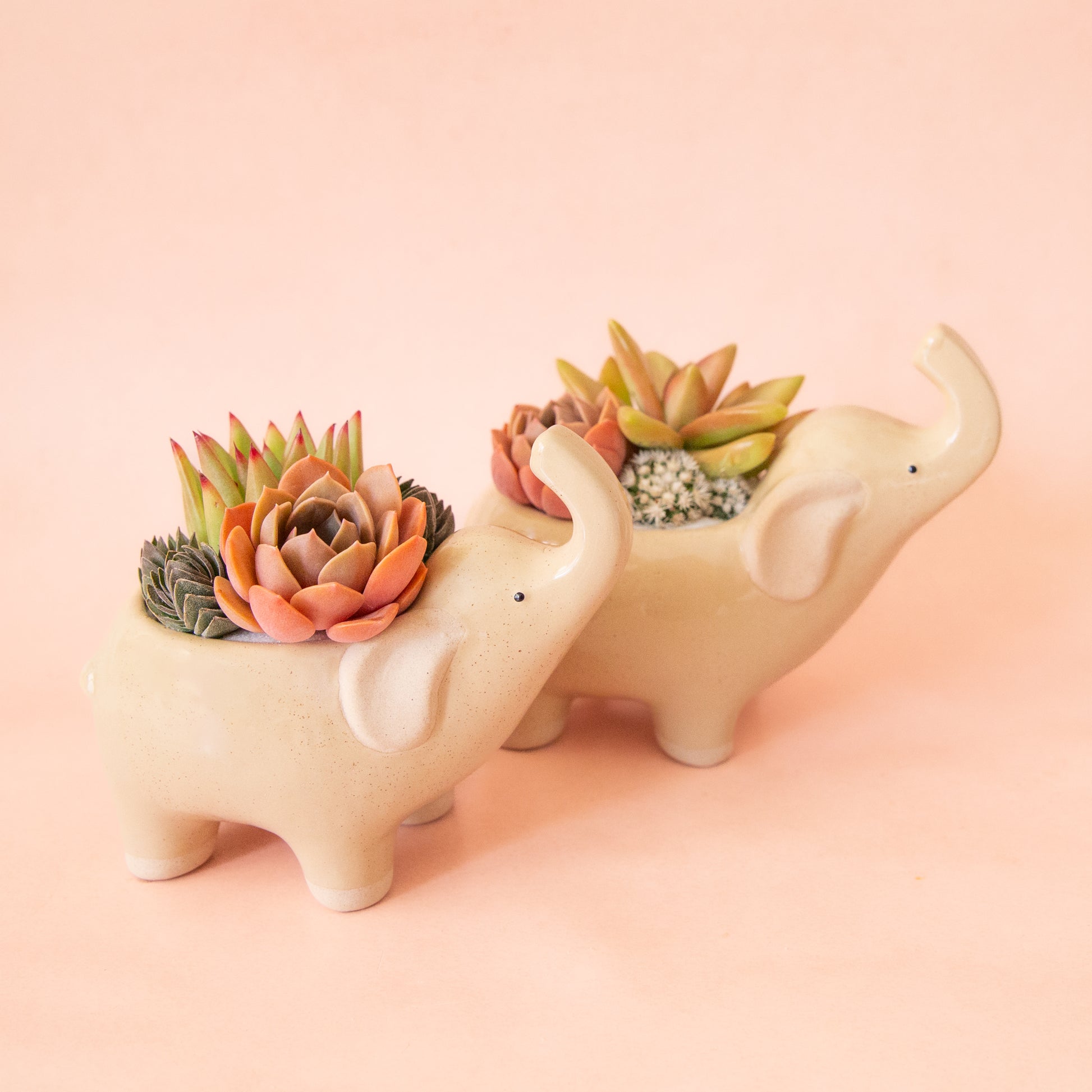 Two ceramic elephant with its nose in the air.  The ceramic is a tan color with speckles.