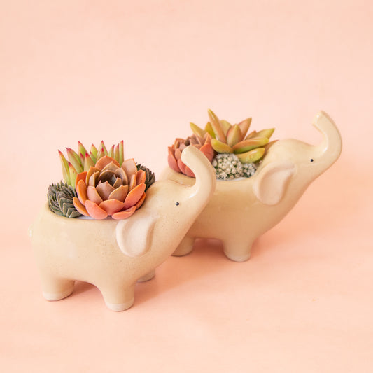 Two ceramic elephant with its nose in the air.  The ceramic is a tan color with speckles.