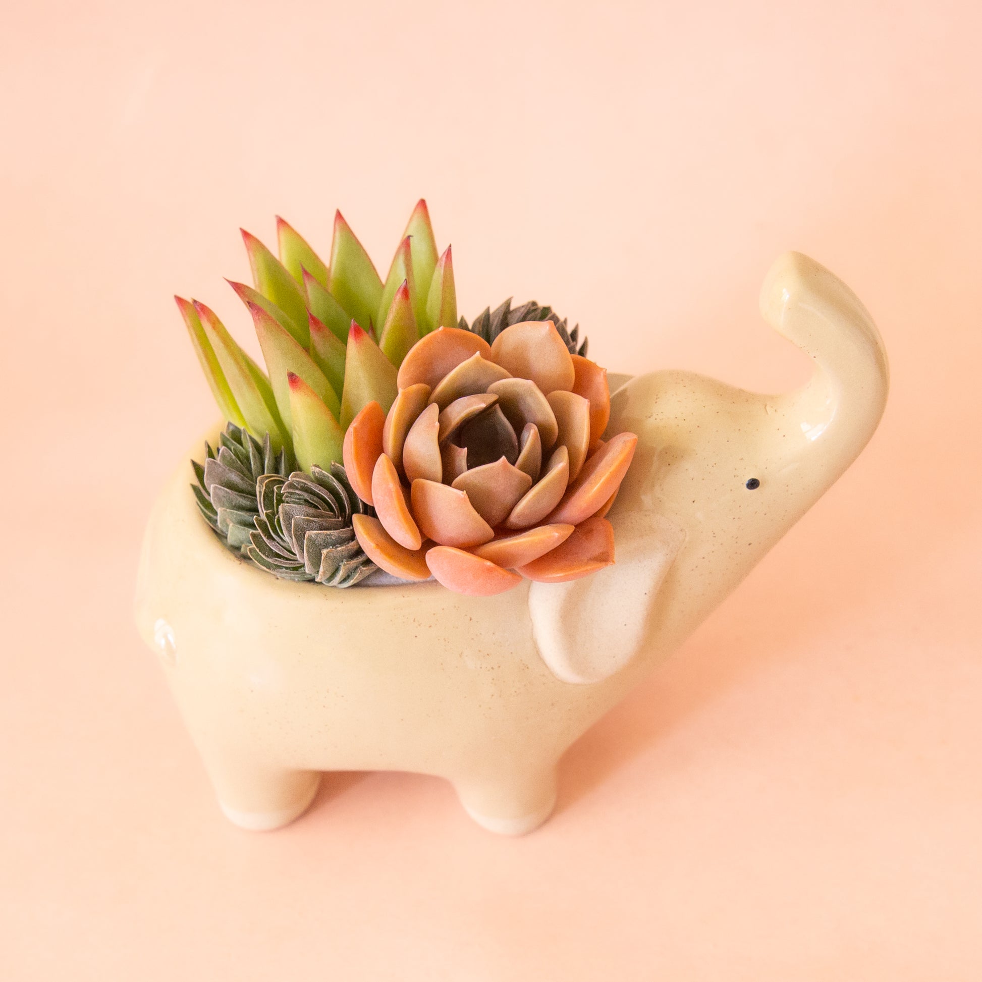 A ceramic elephant with its nose in the air.  The ceramic is a tan color with speckles.