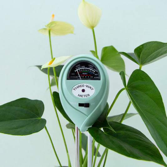 A turquoise blue moisture meter in a planter sold separately. 