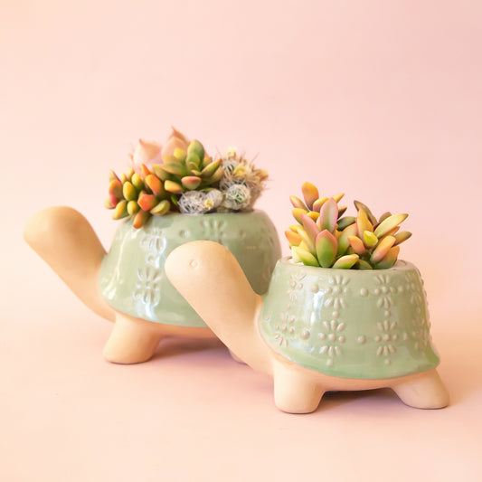 Two different sized green turtle shaped ceramic planters with plants inside that are sold separately.