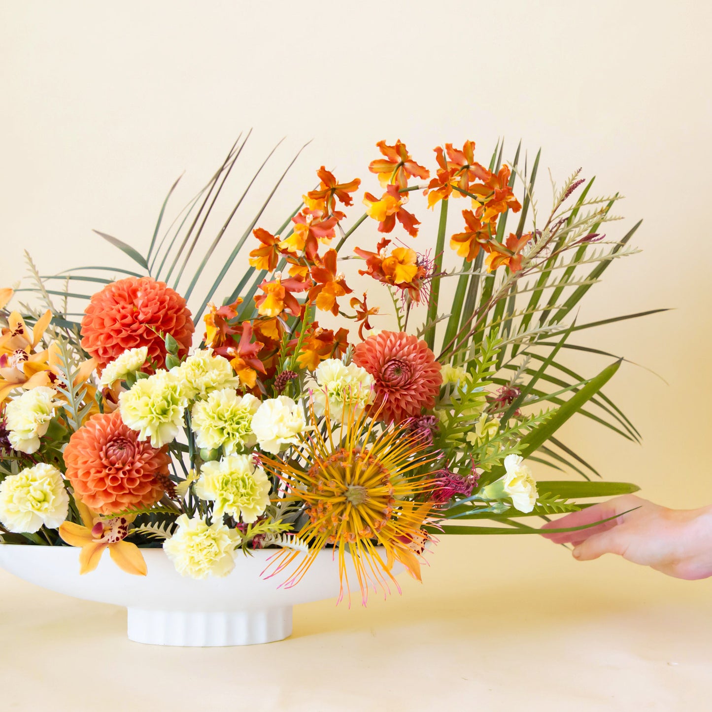 A vibrant floral arrangement in a white pedestal bowl, featuring orange dahlias, yellow pincushion protea, pale green carnations, orchids, and lush greenery, with a hand gently adjusting the leaves on the right.