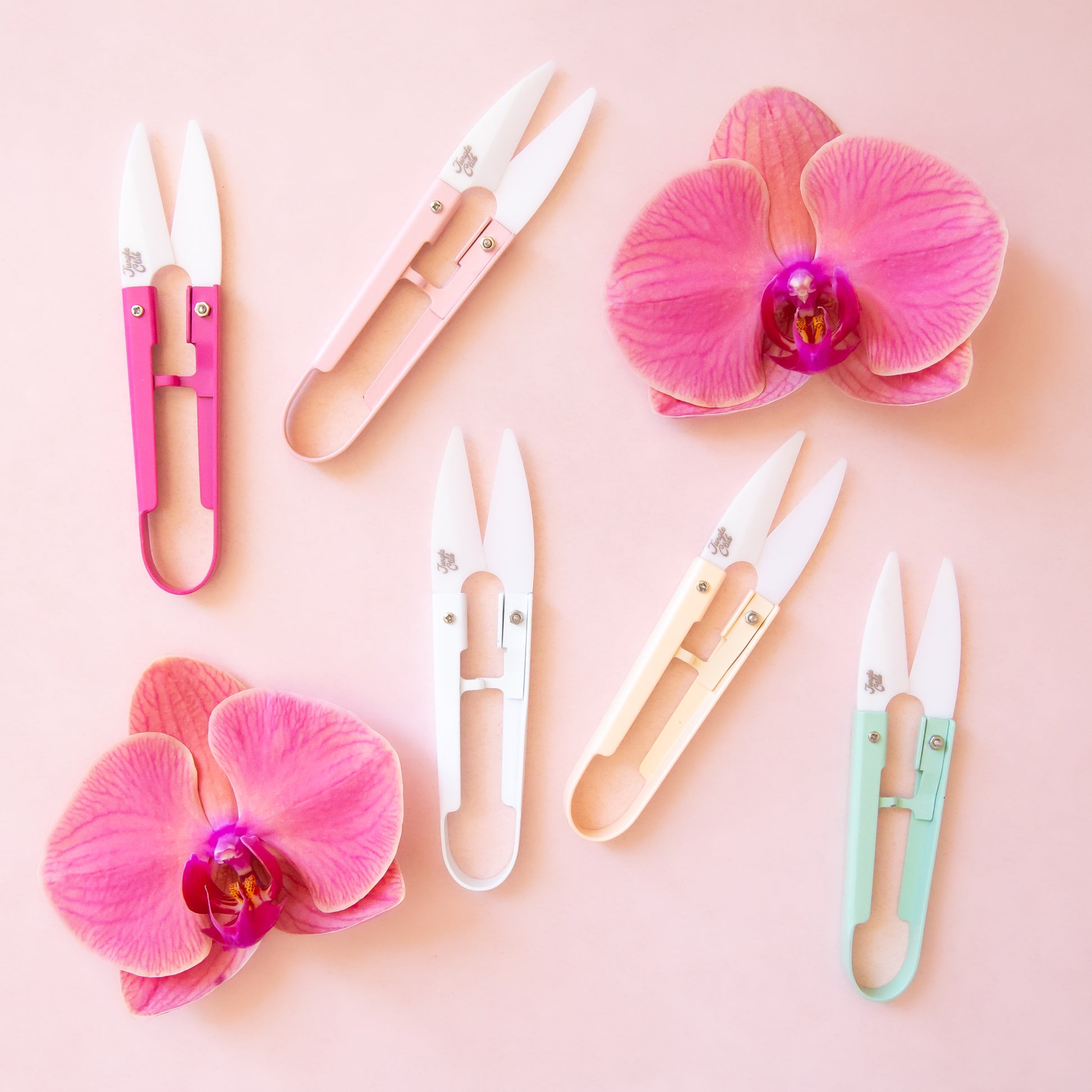 On a pink background is three different colored mini plant sheers in a peach shade, an ivory and pink.