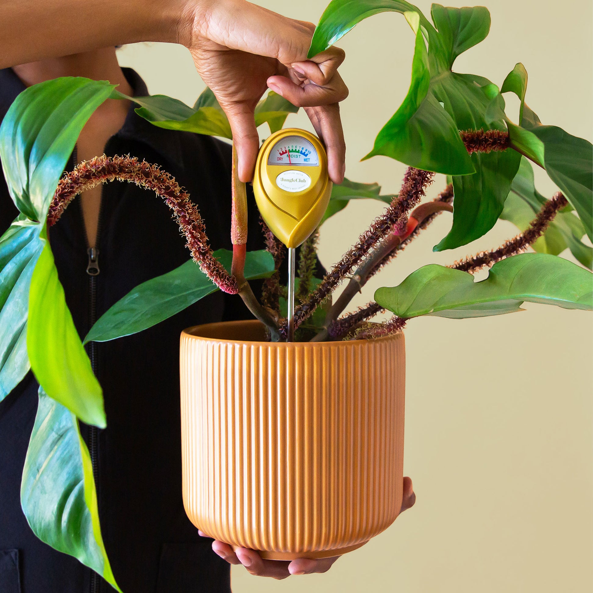 A chartreuse moisture meter with a rounded head and a white meter that ranges from dry, moist, or wet along with a small oval label in the front that reads, "Jungle Club".