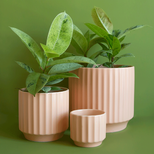 On a green background is three different shaped ceramic pots in a warm toned pink shade.