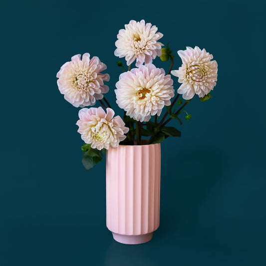 A beautiful pink vase with fluted sits in the middle of the page.  The vase is filled with 5 beautiful White Dahlia flowers.