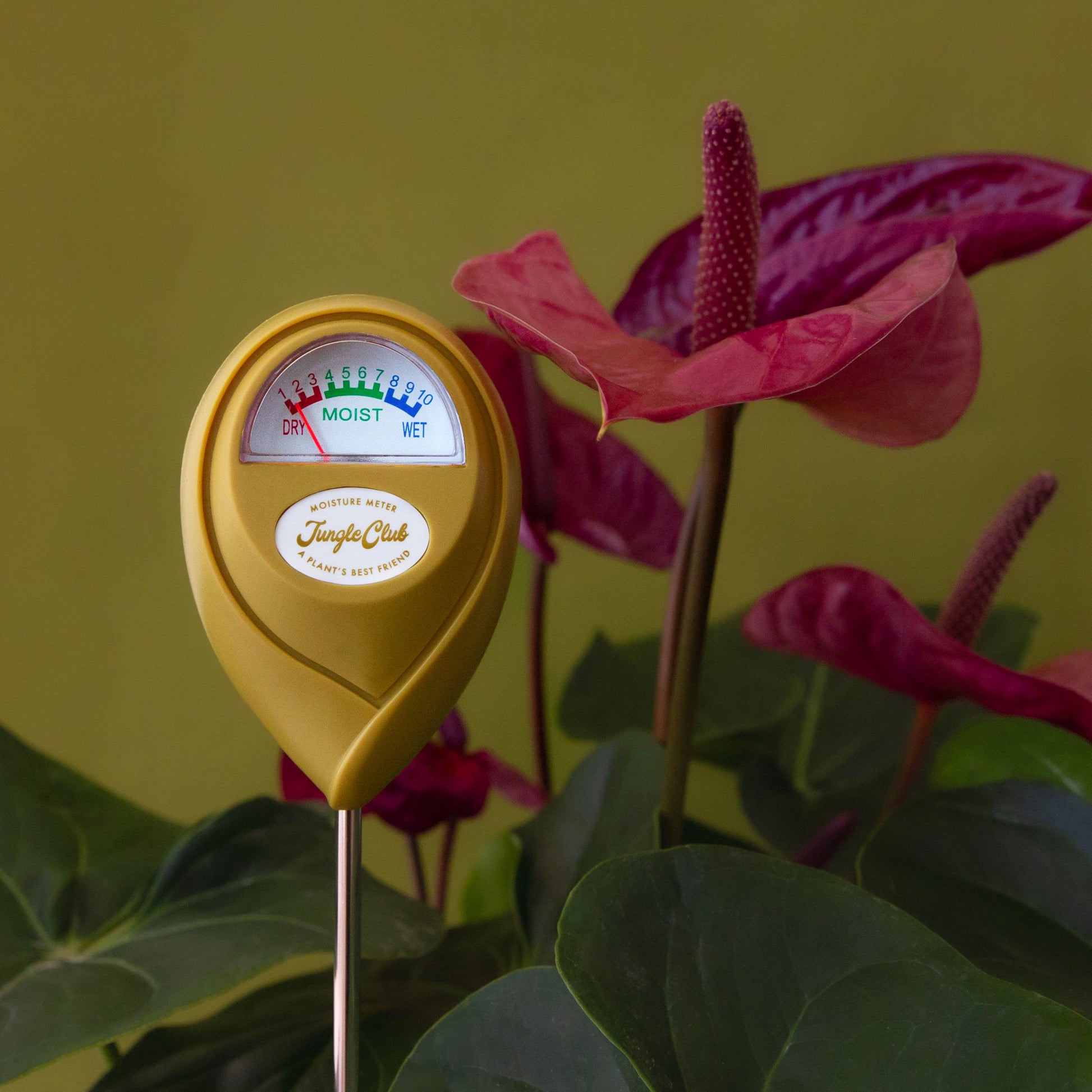 A chartreuse moisture meter with a rounded head and a white meter that ranges from dry, moist, or wet along with a small oval label in the front that reads, "Jungle Club".