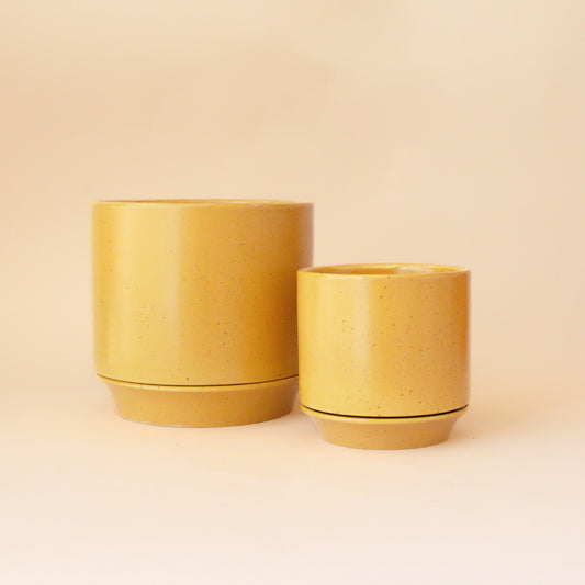 Two mustard colored pots on a peach background.