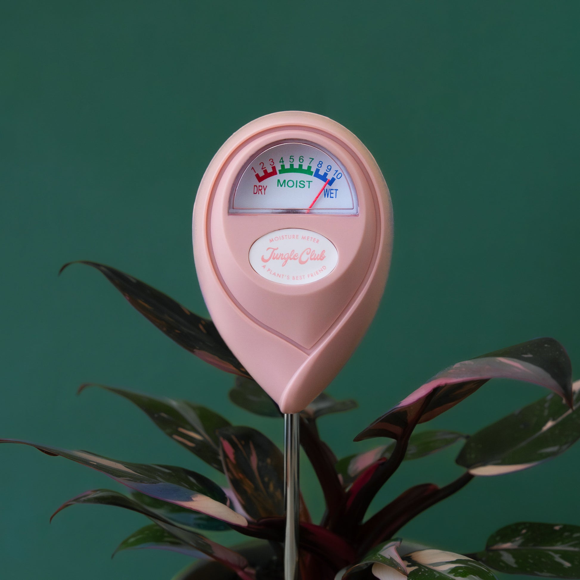 A light pink moisture meter. 